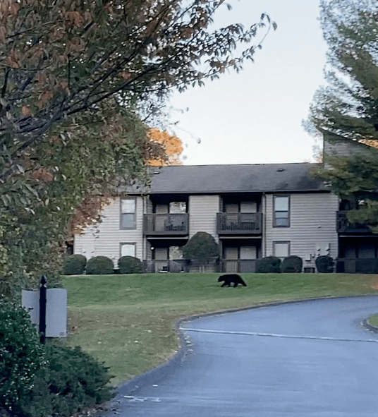 This image has an empty alt attribute; its file name is screenshot-2023-03-01-at-10.15.33-pm-1.png